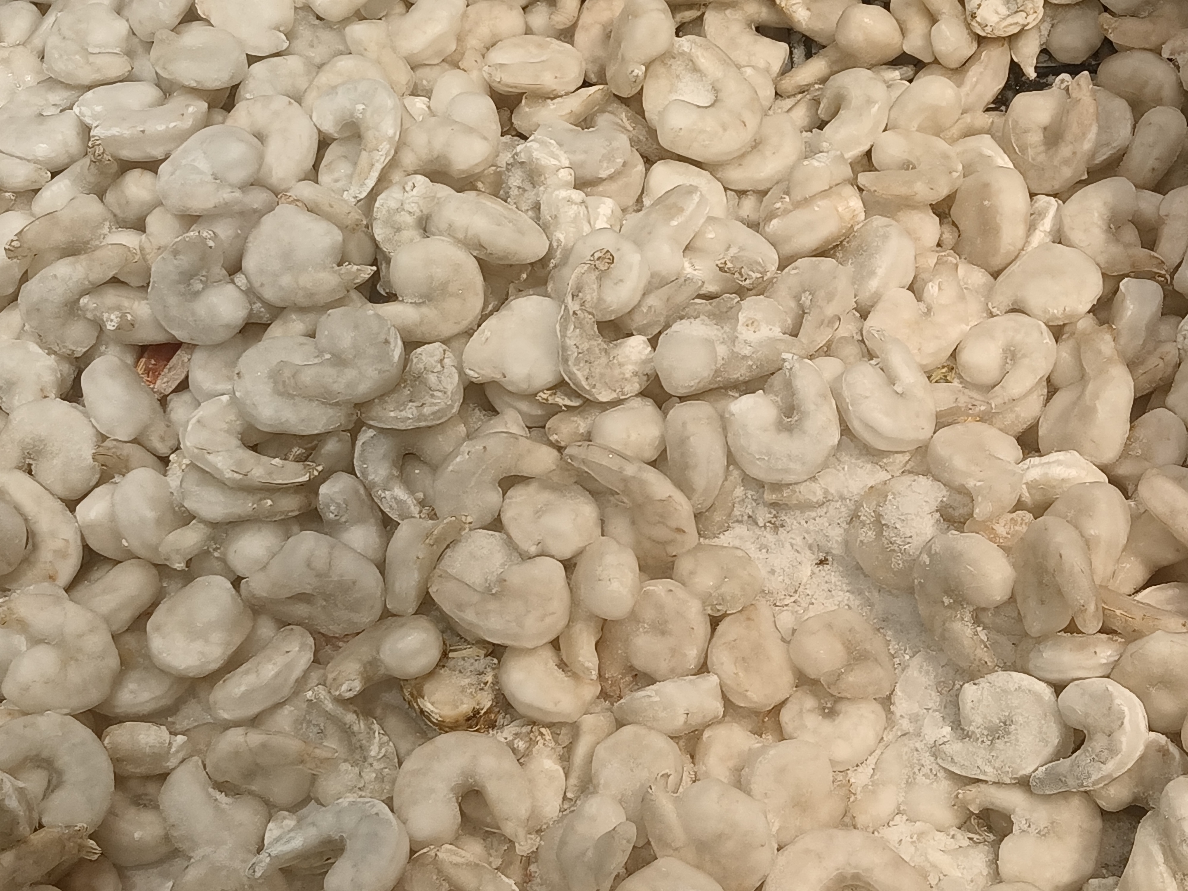 Crevettes surgelées 500g