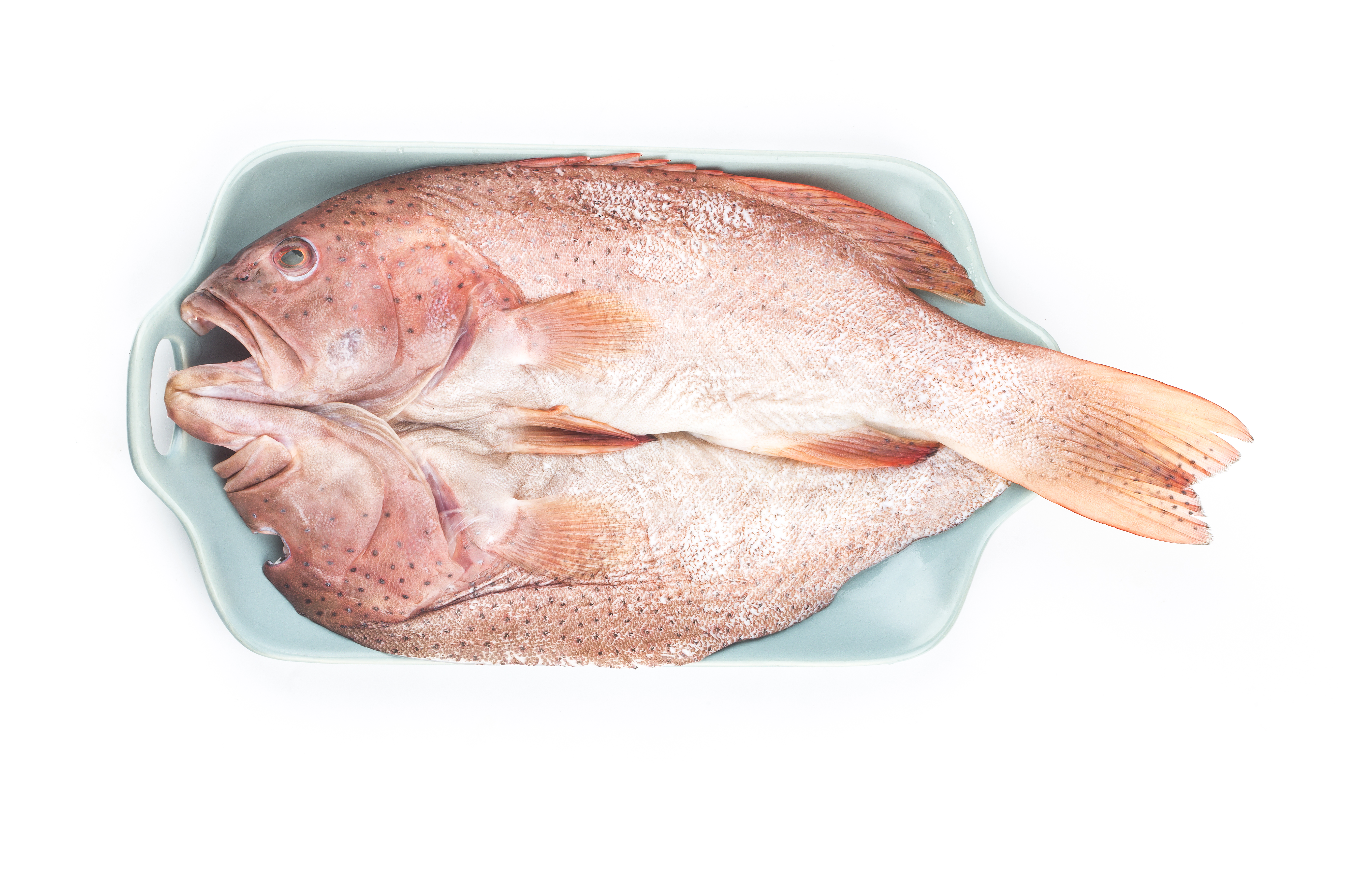 Poisson frais du jour (1kg)